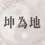 易_坤為地