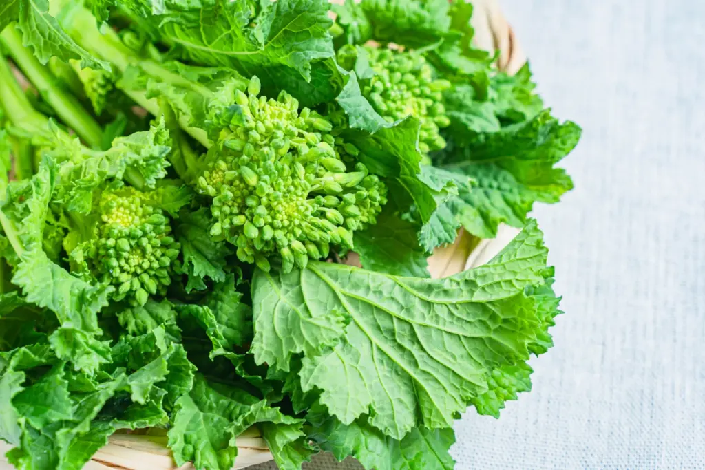 開運の秘訣は「旬」を活かすこと