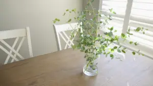 伝統風水を学び直した一ヶ月とセッション再開