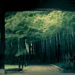 霊的世界_竹林